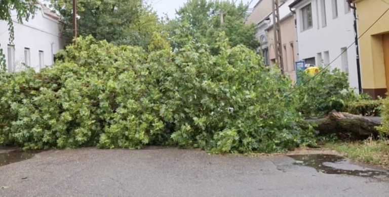 Viharkár Debrecenben