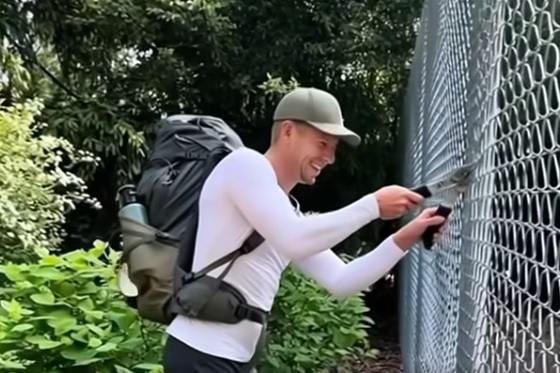 Magyar Péter határkerítés