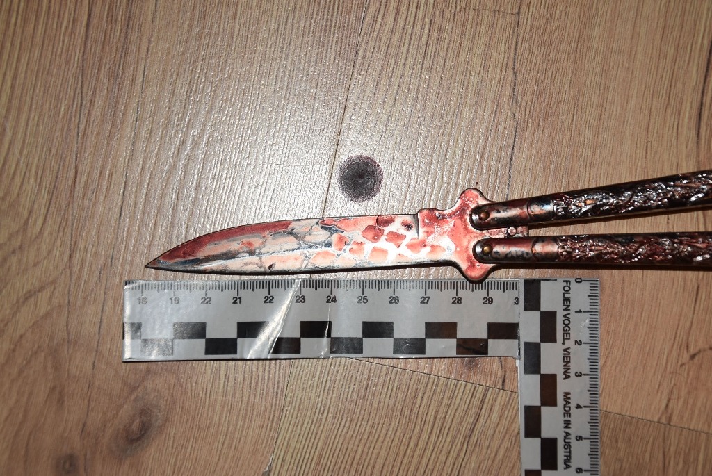 Megkéselte anyját és nagymamáját egy 13 éves fiú Gönyűn