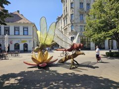 Debreceni Virágkarnevál 2025