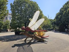 Debreceni Virágkarnevál 2025