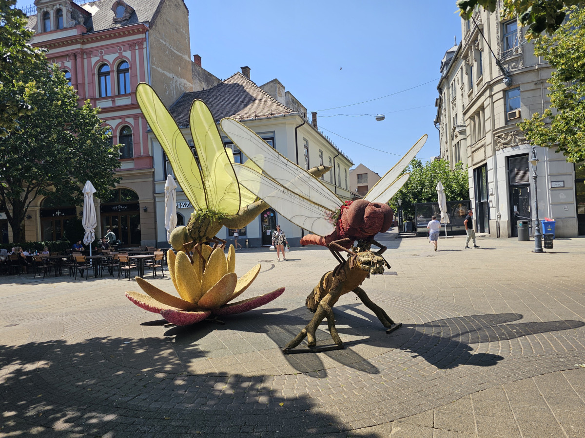 Debreceni Virágkarnevál 2026