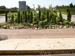 Virágszigetek díszítik a Debreceni Egyetem előtti teret