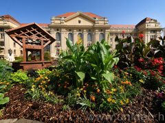 Virágszigetek díszítik a Debreceni Egyetem előtti teret