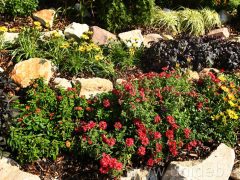 Virágszigetek díszítik a Debreceni Egyetem előtti teret