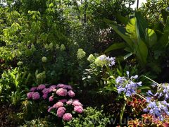 Virágszigetek díszítik a Debreceni Egyetem előtti teret