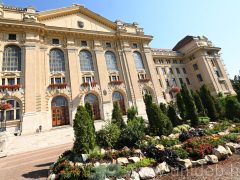 Virágszigetek díszítik a Debreceni Egyetem előtti teret