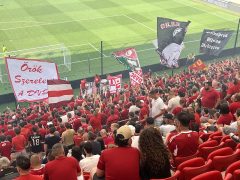 Loki-szurkolók, ultrák