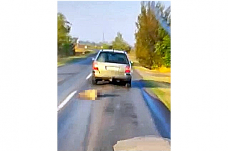 Állatkínzó Tiszaalpár és Kiskunfélegyháza között