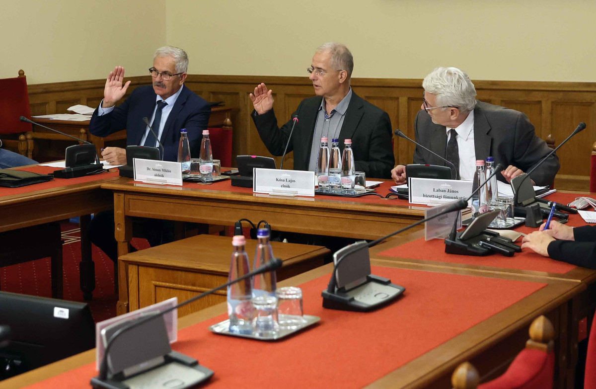 Kósa Lajos lex ruszin-szendi