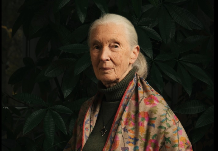 .Jane Goodall