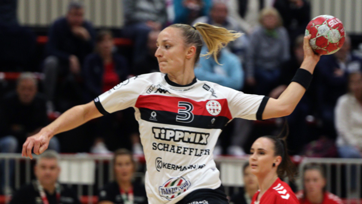 NEKA–DVSC SCHAEFFLER 17–36