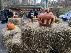 Halloween a debreceni Vidámparkban