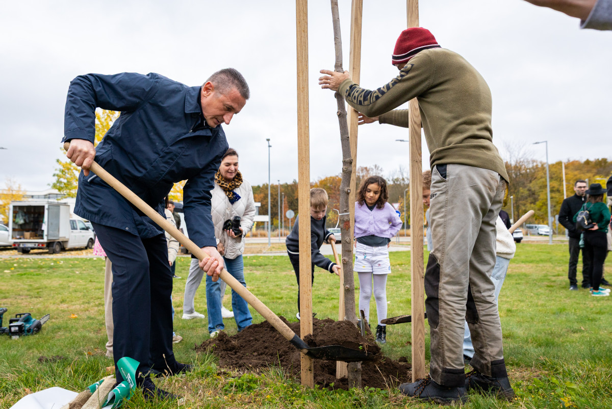 Balázs Ákos fát ültet gyerekekkel