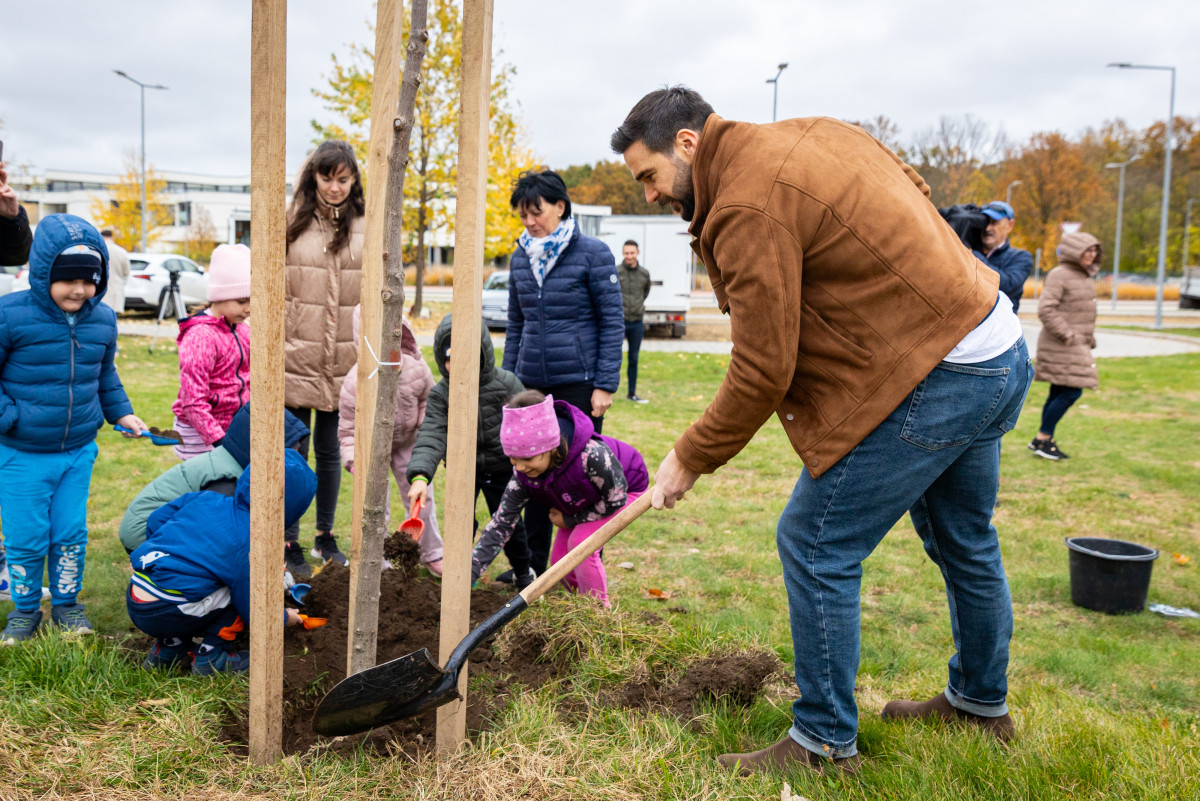 Barcsa Lajos faültetésen Pallagon