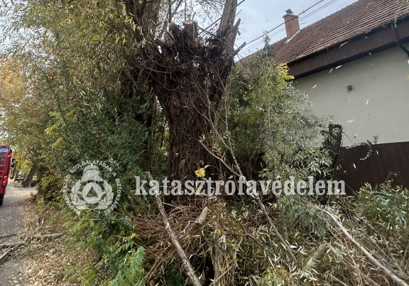 Több faág is lehasadt Debrecenben