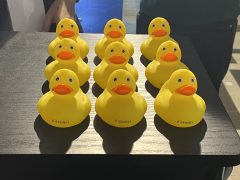 Állásbörze a Debreceni Egyetemen