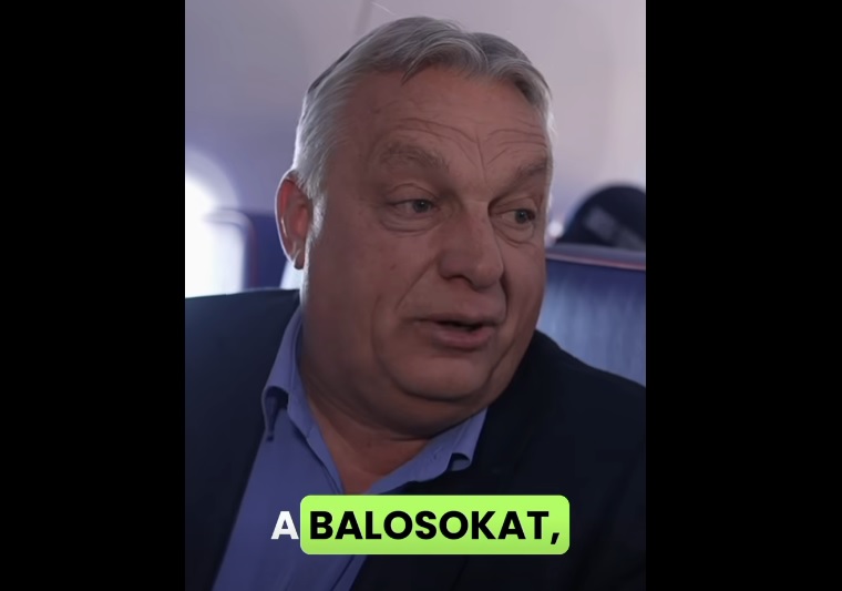 Orbán szenvedő kutya balosok