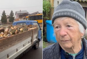 Terike néni tűzifa bocskaikert