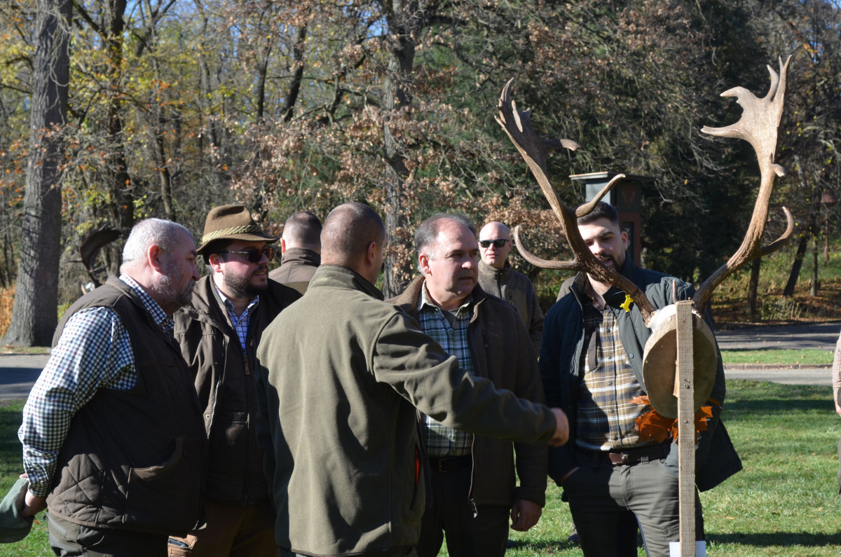 Trófeaszemlét tartott a NYÍRERDŐ Zrt. Gúthi Erdészete Nyíradony-Gúthpusztán