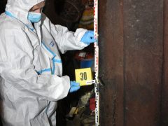 Gyilkosság Komádiban