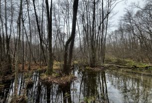 lápi póc megmentése