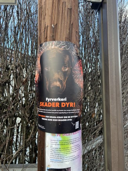 Szilveszter Norvégiában