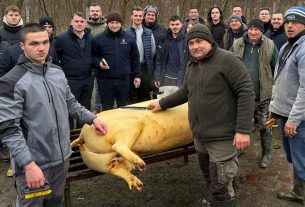 Fidelitas-disznóvágás Géberjében