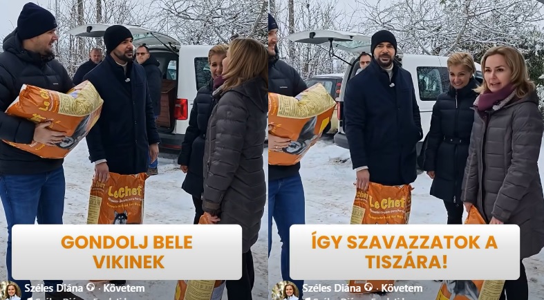 Széles Diánék menhelyen