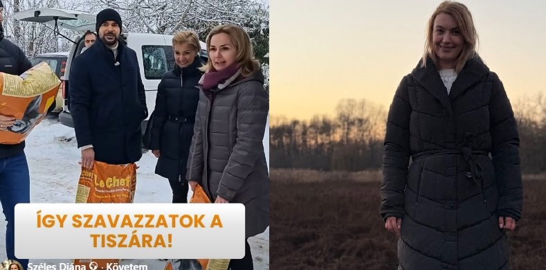 Állatmenhely-adomány balhé Debrecenben