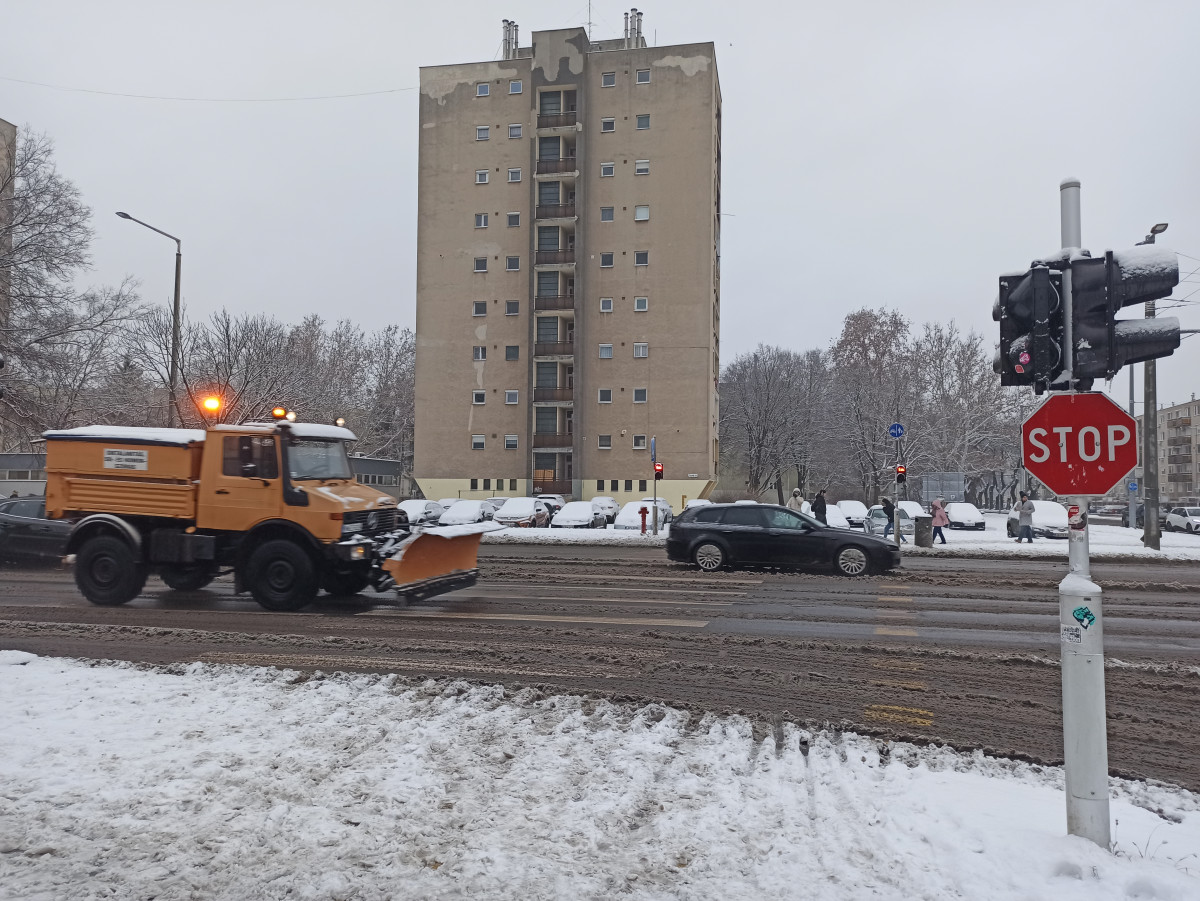 Hókotró Debrecenben