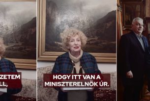 Ildikó néni gondosóra