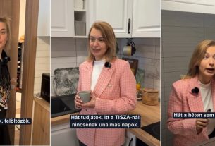 Tompa Enikő, Tisza Párt