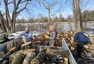 Széles Diána is beállt a fát pakoló politikusok közé