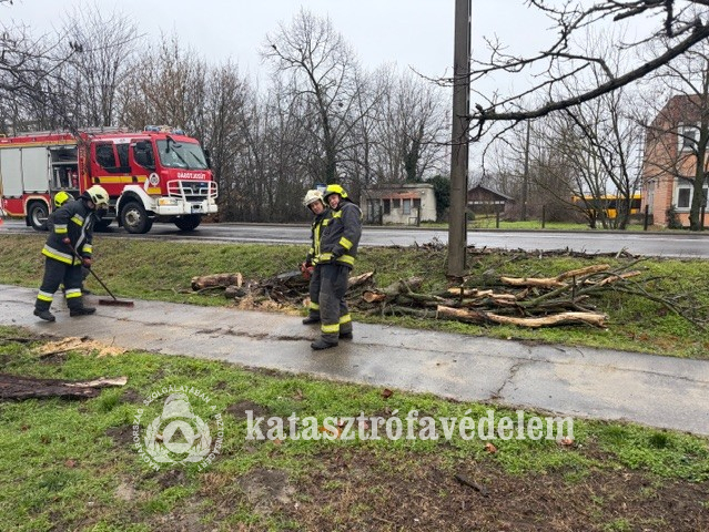 Kerékpárútra dőlt egy fa Berettyóújfaluban