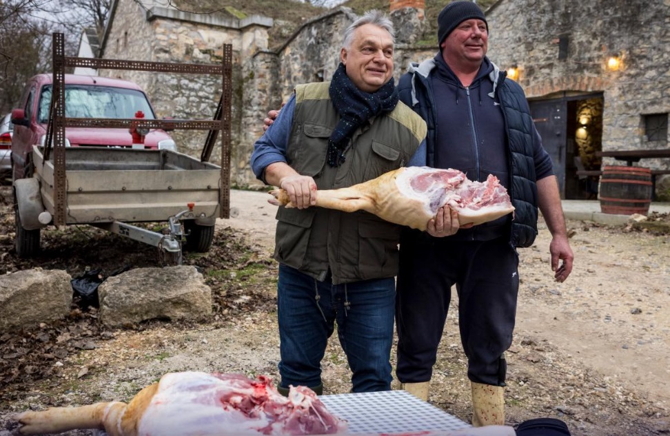Orbán Viktor disznótoron