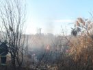 Szabadtéri tűz, avartűz
