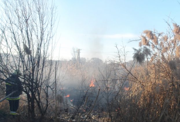 Szabadtéri tűz, avartűz