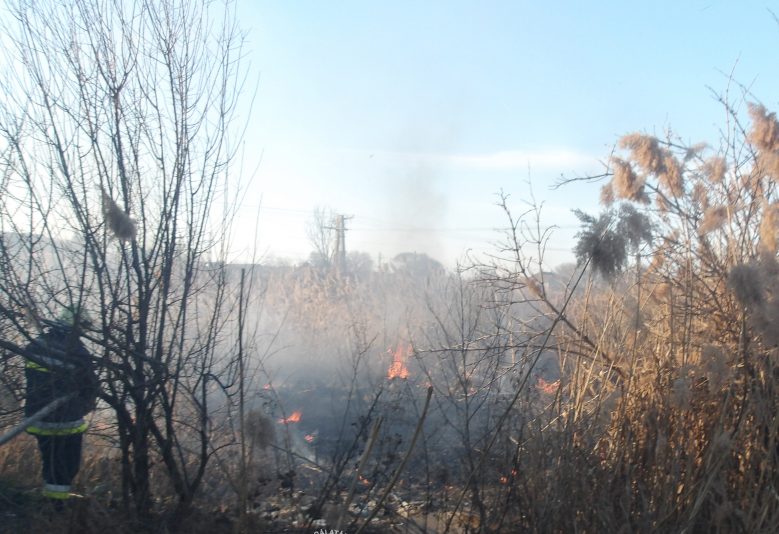 Szabadtéri tűz, avartűz