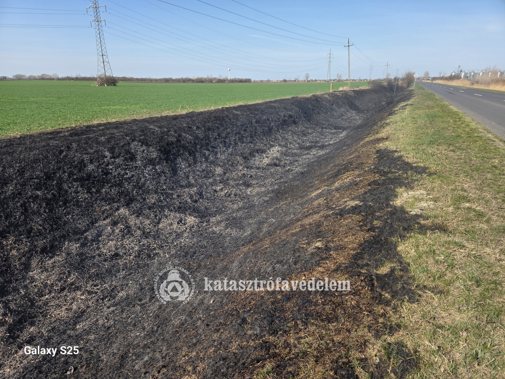 Harmincöt hektár égett le Egyeken