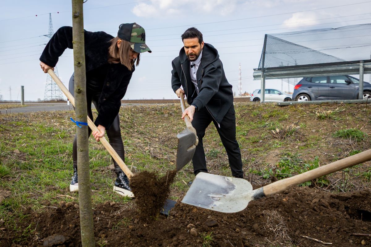Barcsa Lajos fát ültet