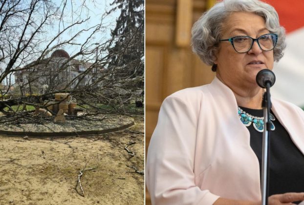 Fa dőlt Hajdúdorog jelképére, Göröghné Bocskai Éva szerint a kormányváltás lesz a helyreállítás kulcsa