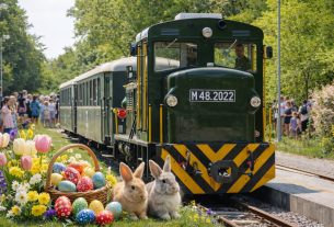 Nyuszivonat Debrecenben