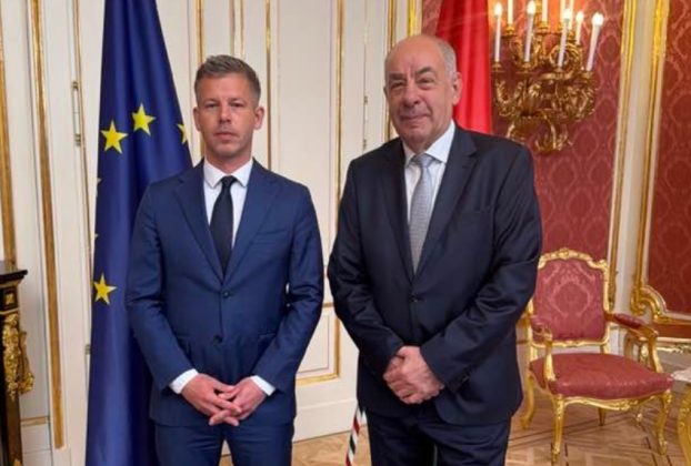 Sulyok Tamás és Magyar Péter