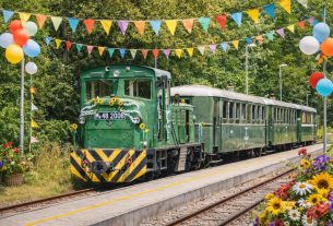 Erdei majális a Zsuzsival