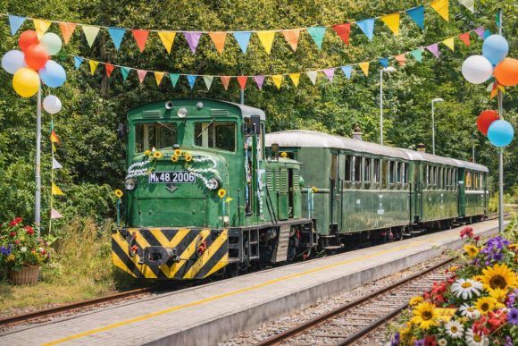 Erdei majális a Zsuzsival