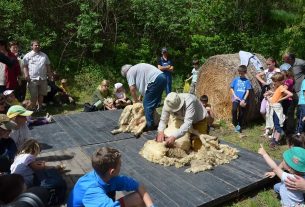 Hortobágyi gyapjúfesztivál