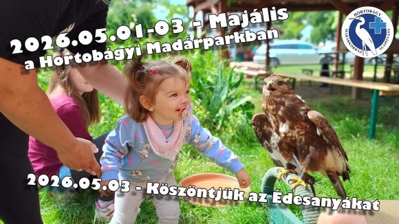 Hosszú hétvége a hortobágyi madárkórházban