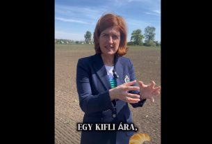 100 forint egy telek Hajdúnánáson