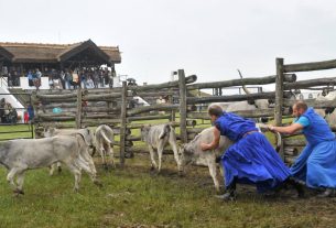 Országos Gulyásverseny és Pásztortalálkozó lesz Hortobágyon